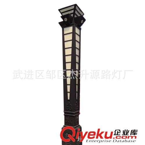 廣場led景觀燈 歐式戶外庭院燈 城市亮化led景觀燈  廠家生產原始圖片2