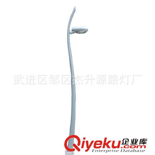 廠家直銷 廣場led景觀燈 單臂道路路燈  戶外景觀燈 歐式庭院燈原始圖片2