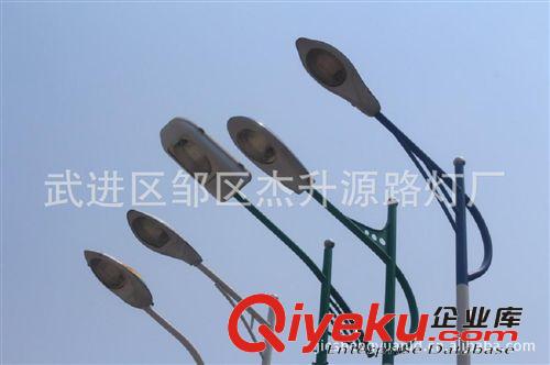 單臂路燈 簡(jiǎn)單造型 款式多樣 廠家生產(chǎn) 自產(chǎn)自銷原始圖片2