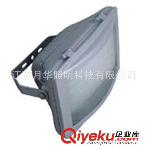 廠家直銷 供應(yīng)LED投光燈  新款投光燈原始圖片3