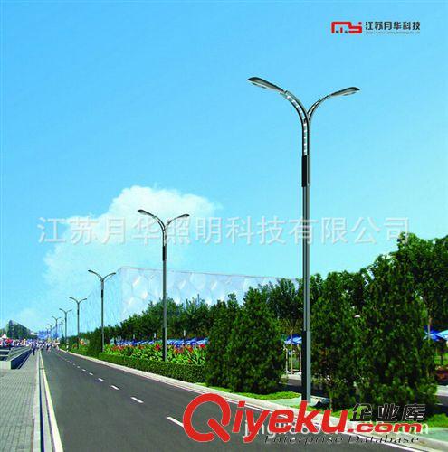 廠家熱銷 高速公路路燈 環保路燈  雙臂路燈