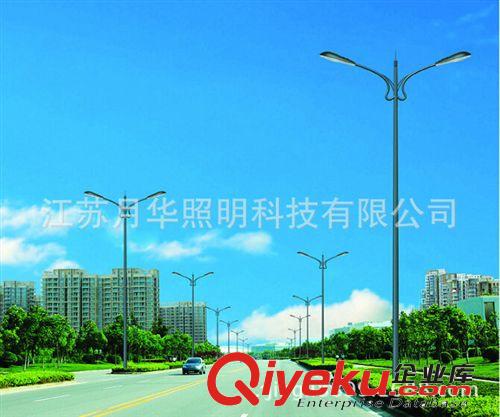 專業提供 橋梁路燈 雙光源路燈 大功率路燈