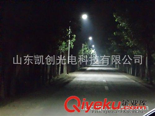 廠家直銷(xiāo)30W集成LED路燈，壓鑄鋁蜂窩狀路燈原始圖片3