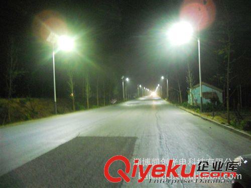 20W太陽能路燈，景觀燈，庭院燈原始圖片3