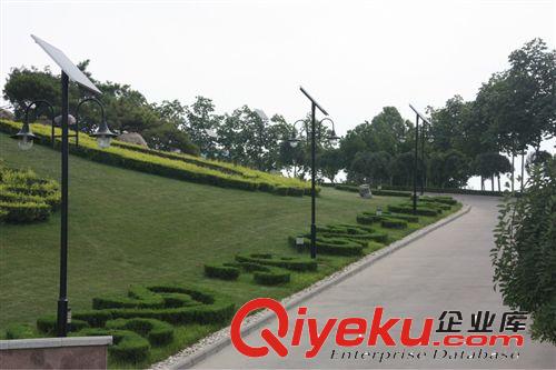供應(yīng)16W太陽能路燈，兩個(gè)8W燈頭，每晚亮燈時(shí)間12小時(shí)