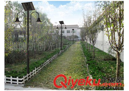 供應(yīng)16W太陽能路燈，兩個(gè)8W燈頭，每晚亮燈時(shí)間12小時(shí)原始圖片2