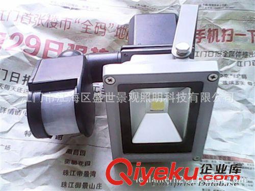 誠招外貿銷售商 太陽能5W180度旋感應投光燈 品質保證原始圖片3