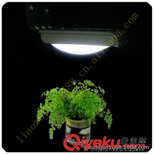 廠家銷售聲控功能太陽能燈；LED燈；壁燈；小路燈深圳制造原始圖片2