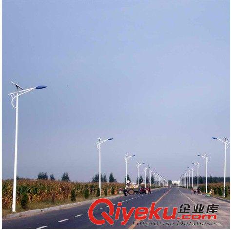 廠家直銷優質路燈 太陽能路燈 LED路燈原始圖片3