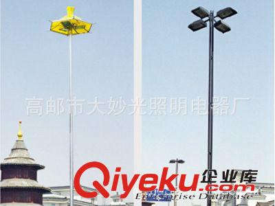 高桿路燈專業生產廠家   20米高桿燈  20年不生銹球場高桿燈原始圖片2