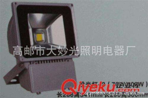 專業生產優質節能環保投光燈 投射燈   埋地燈原始圖片2