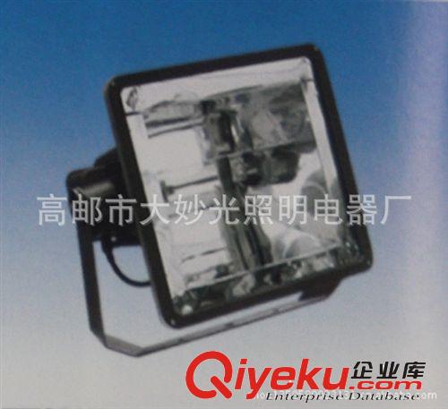 大量銷售供應LED 投射燈 超高亮度 進口芯片 led投射燈 戶外投射原始圖片3