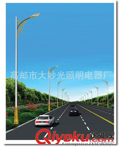 LED路燈批發(fā)廠家 質量好價格優(yōu) 專業(yè)生產路燈 8米LED路燈原始圖片2