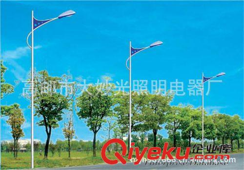 單臂道路燈  道路照明燈具 風光互補太陽能路燈 草坪燈高桿燈原始圖片3