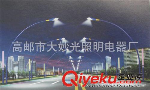 單臂道路燈 雙臂道路燈 各種高低臂道路燈 高郵市大妙光路燈廠家