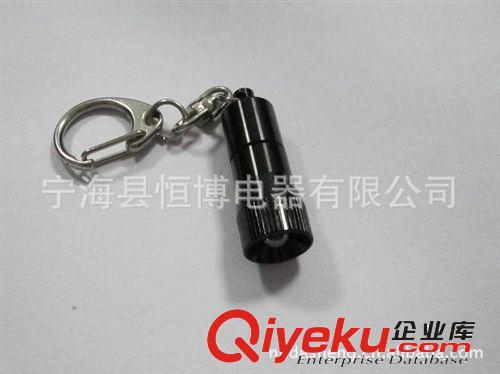 廠家供應(yīng) 高亮度尺寸小精致鑰匙扣驗鈔燈LED