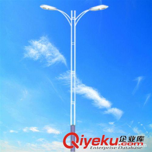 路燈廠家批發(fā) 南通戶外路燈 5-12米單雙臂道路燈原始圖片2
