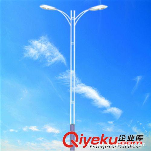 路燈廠家批發(fā) 南通戶外路燈 5-12米單雙臂道路燈原始圖片3