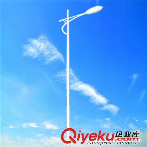廠家批發(fā) 小區(qū)節(jié)能組合路燈 5-12米特價(jià)單臂道路燈