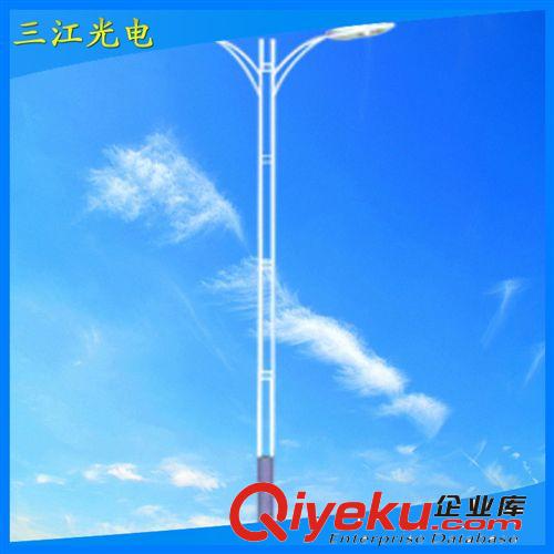 批發(fā)供應(yīng) 雙頭壓鑄路燈 集成小區(qū)路燈 量多優(yōu)惠