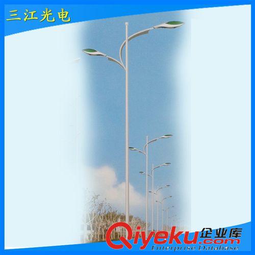 廠家批發(fā) 公園壓鑄路燈 單桿雙臂路燈 品質(zhì)保障
