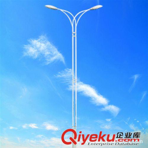 廠家批發(fā) 南通戶外路燈 5-12米單雙臂道路燈