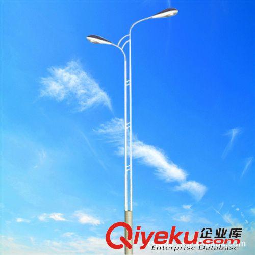 路燈廠家批發(fā) 南通單雙臂道路燈 戶外5-12米路燈