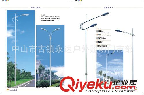 3米庭院燈道路燈 景觀高桿熱鍍鋅 小區(qū)工程照明燈具 戶外照明燈具原始圖片2