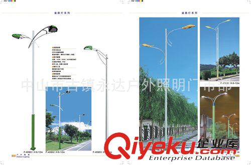 中山路燈廠家供應(yīng)：新穎LED七彩變色、鈉燈、節(jié)能燈景觀路燈原始圖片2