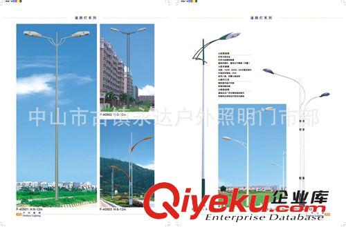 中山路燈廠家供應(yīng)：大功率LED30W路燈、庭院景觀燈原始圖片3