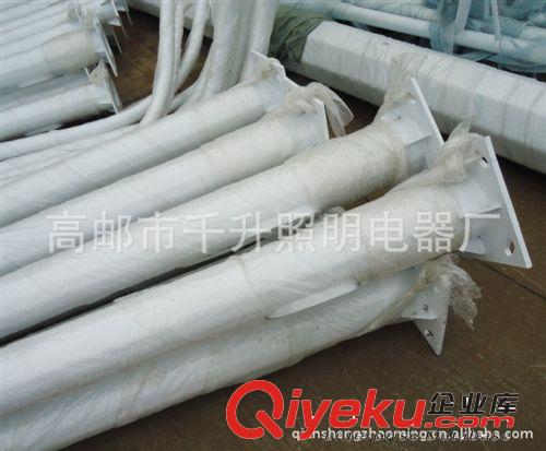 道路燈照明電器制造廠家專業制造市電路燈，用于廠區道路的路燈桿