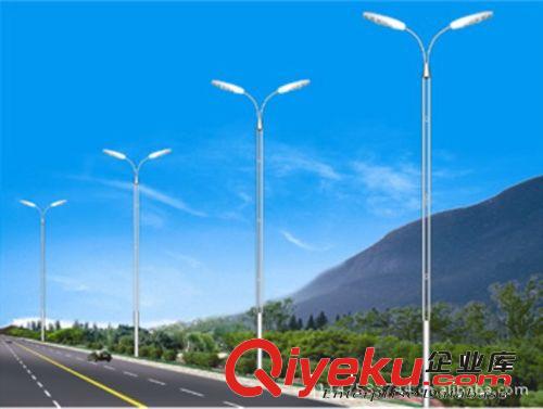 道路燈 道路照明 雙臂燈  塞外照明燈具原始圖片2