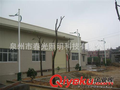 泉州路燈廠家直銷 廠區(qū)專用道路照明6米LED路燈 優(yōu)質(zhì)美觀LED路燈