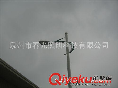 泉州路燈廠家直銷 廠區(qū)專用道路照明6米LED路燈 優(yōu)質(zhì)美觀LED路燈原始圖片3