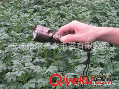 供應(yīng)優(yōu)質(zhì) 山中cj 美國CREEQ5強(qiáng)光手電筒 戶外手電筒禮品手電筒原始圖片2