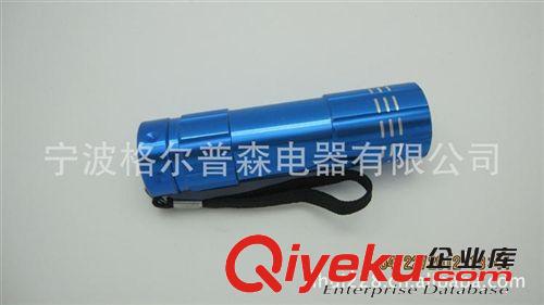 批發(fā)銷售 花形管9LED小功率精美手電筒 禮品手電筒 供應(yīng)優(yōu)質(zhì)原始圖片2