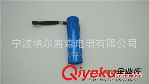 批發(fā)銷售 花形管9LED小功率精美手電筒 禮品手電筒 供應(yīng)優(yōu)質(zhì)原始圖片3