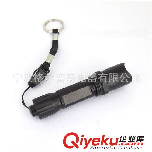 批發(fā)供應(yīng) 手壓驗炒電筒GR-3171 大功率鋁合金手電筒led釣魚燈原始圖片3