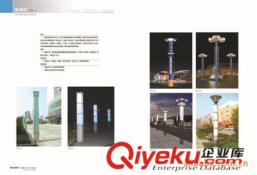 供應廠家直銷優質景觀燈原始圖片2