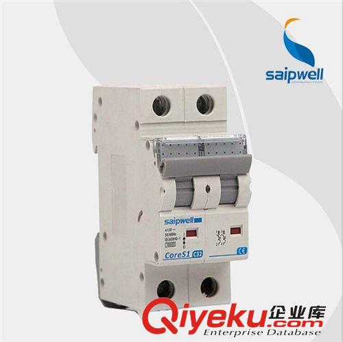 生產(chǎn)小型低壓塑殼漏電斷路器SPF1-2-63C32 低價真情回饋 不容錯過