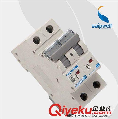 生產(chǎn)小型低壓塑殼漏電斷路器SPF1-2-63C32 低價真情回饋 不容錯過原始圖片3