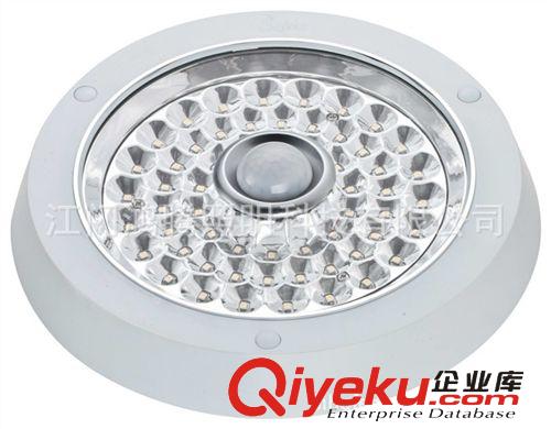 廠家供應(yīng)LED感應(yīng)燈吸頂燈人體感應(yīng)吸頂燈led燈燈具 led燈飾廠家原始圖片2