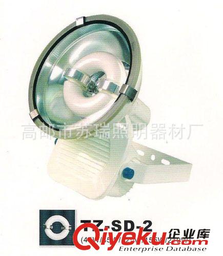 廠家優質優廉供應各種規格路燈燈具原始圖片3