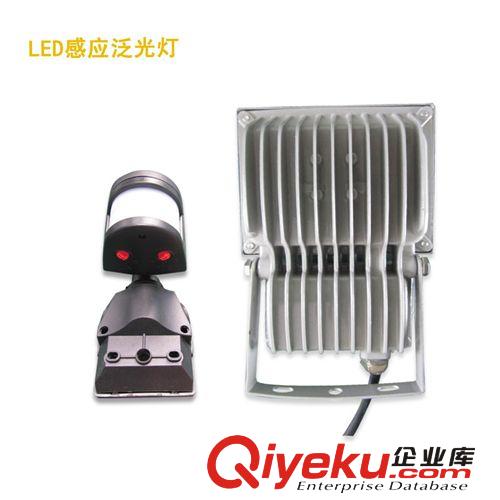 供應深圳防水智能型感應LED泛光燈 10w~300w原始圖片3