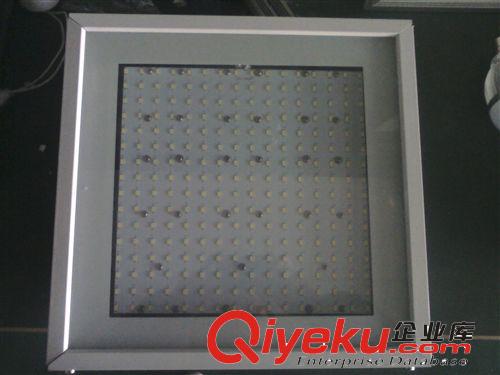 供應雷達感應燈具 LED防爆燈 60~180W 加油站照明燈