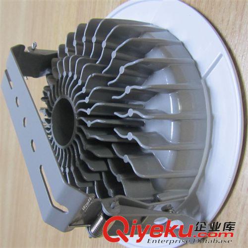 廠價供應 led筒燈12W 光線柔和 室內(nèi)燈 走廊燈原始圖片3