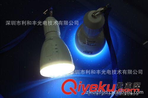 廠家大量批發(fā)優(yōu)質(zhì)IP50充電LED應(yīng)急燈原始圖片3