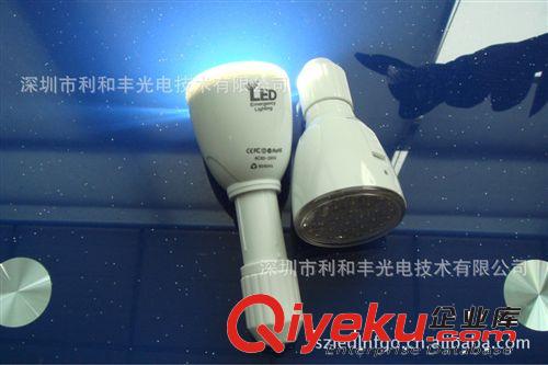 廠家專業提供透明罩LED遙控應急燈原始圖片2
