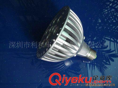 廠家專業(yè)批發(fā)優(yōu)質(zhì)LED投射燈12W原始圖片3