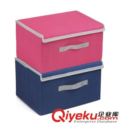透明蓋牛津布內(nèi)衣6格10格12格收納盒 內(nèi)褲襪子花邊防水收納盒